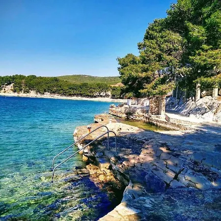 Freedom And Peace Daire *